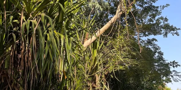 IMG-20250610-WA0082