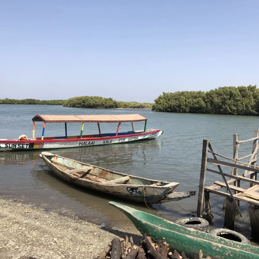 que faire à Abéné : pêche sur les bolong