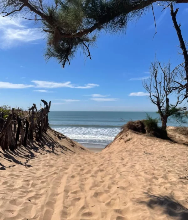 chemin-plage le chemin pour se rendre à la plage de la location de gite en casamance