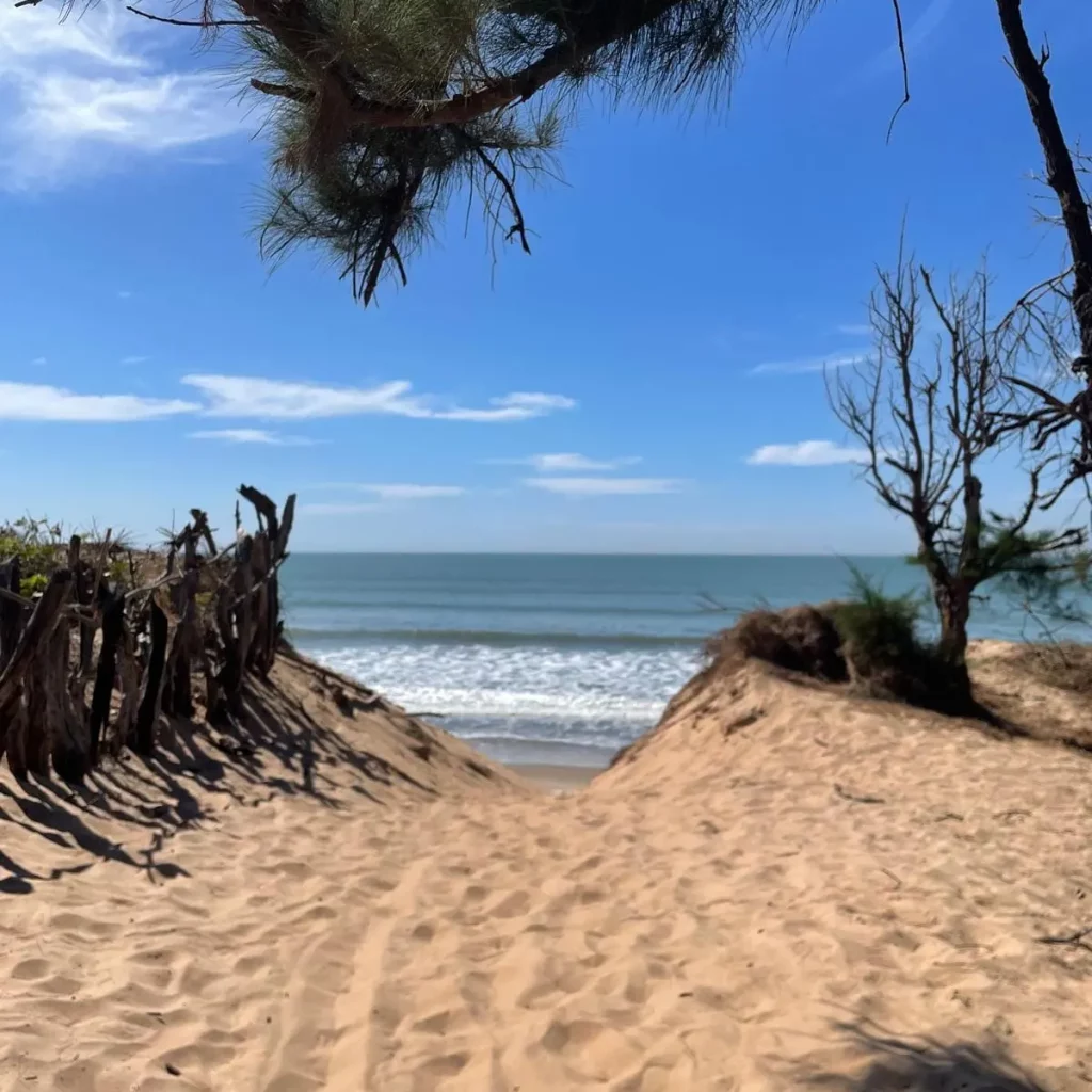 chemin-plage le chemin pour se rendre à la plage de la location de gite en casamance