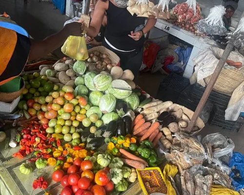 photo-étale-de légumes Location de gîte en Casamance avec son marché local